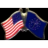 INDIANA PIN STATE FLAG USA FRIENDSHIP FLAGS PIN